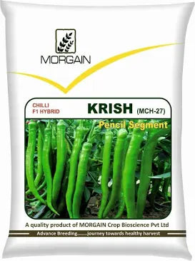 Morgan Krish chilli seeds