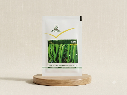 Morgain Krish (MCH-27) F1 Hybrid Chilli Seeds (10 GM)