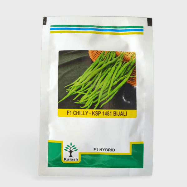 Kalash Seeds KSP 1481 Bijali Chilli
