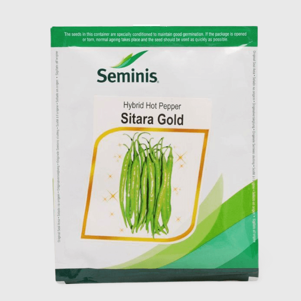 Sitara Gold Chilli Seeds