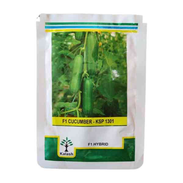 kalash ksp 1301 F1 cucumber seeds