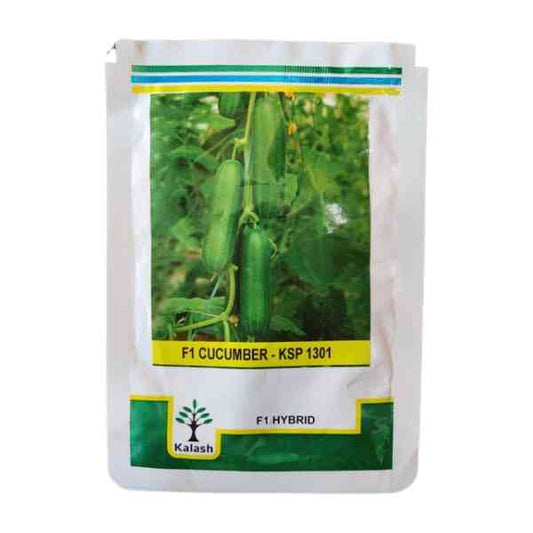kalash ksp 1301 F1 cucumber seeds