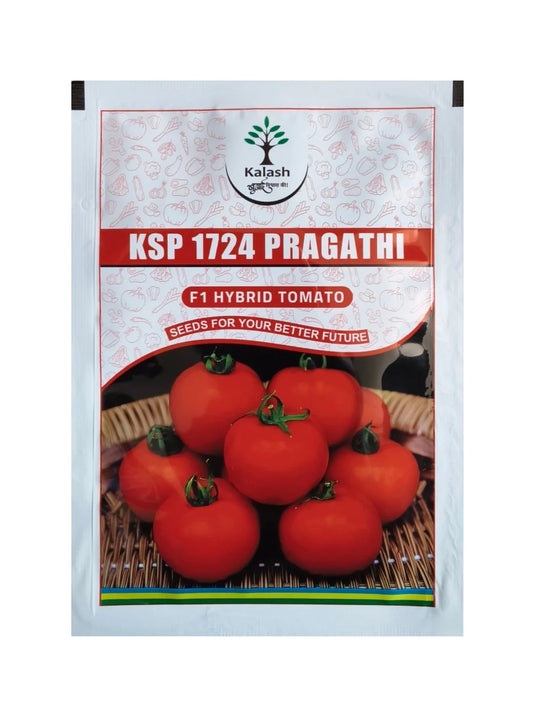 Kalash tomato seeds ksp 1724