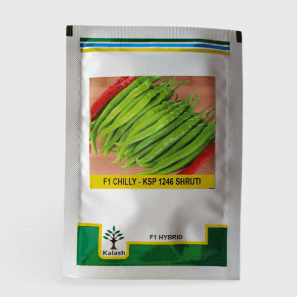 kalash chilli ksp 1246
