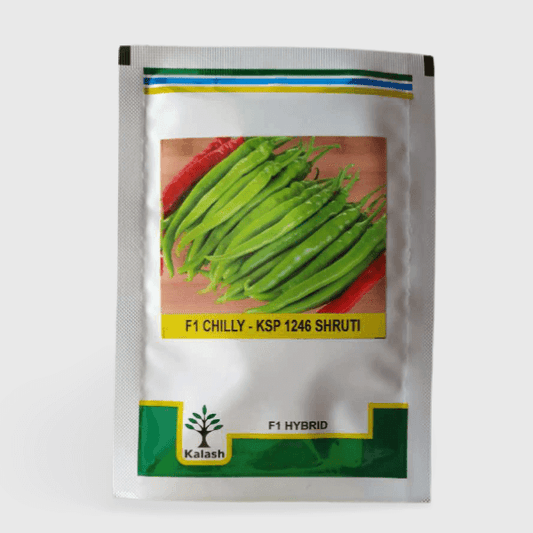 kalash chilli ksp 1246