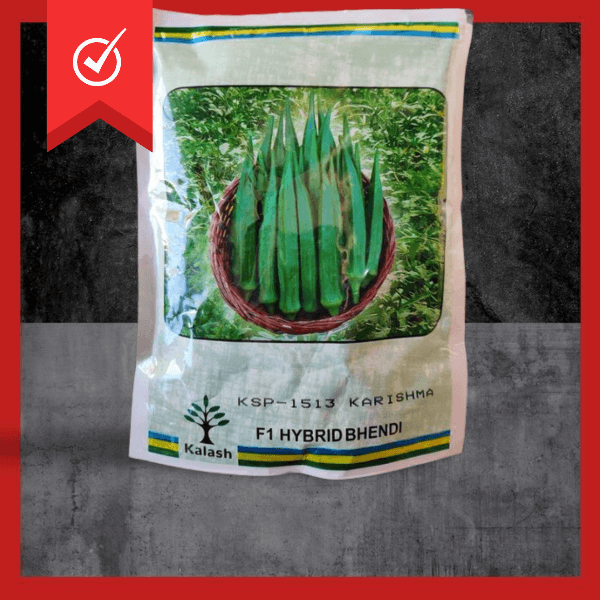 kalash seeds hybrid bhindi ksp 1513 karishma