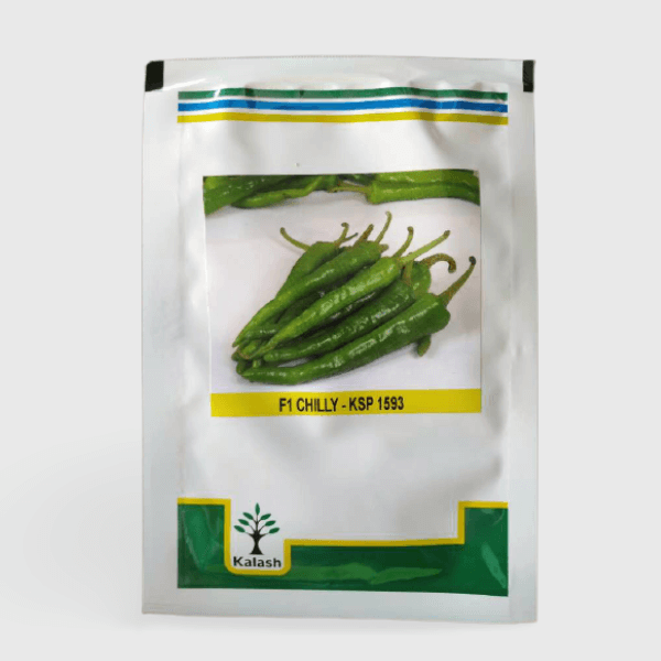 KSP 1593 Chilli | Kalash seeds 