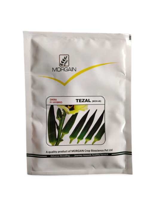 Morgain bhindi tezal okra