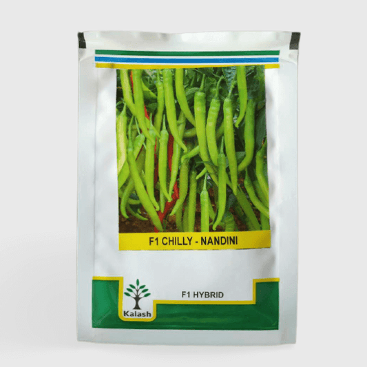 kalash nandini chilli seeds