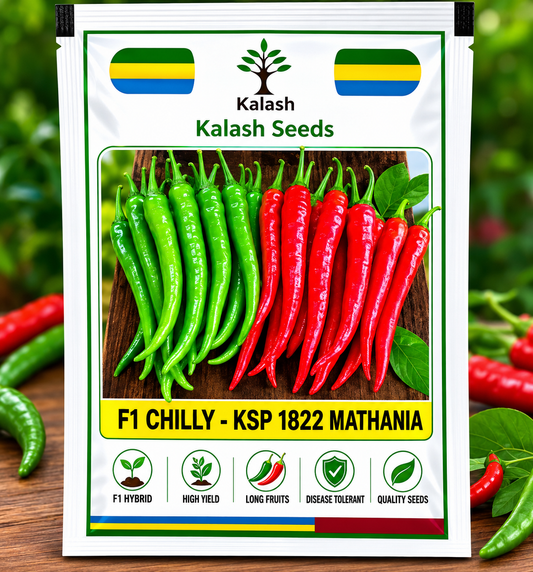 KSP 1822 Mathania Chilli