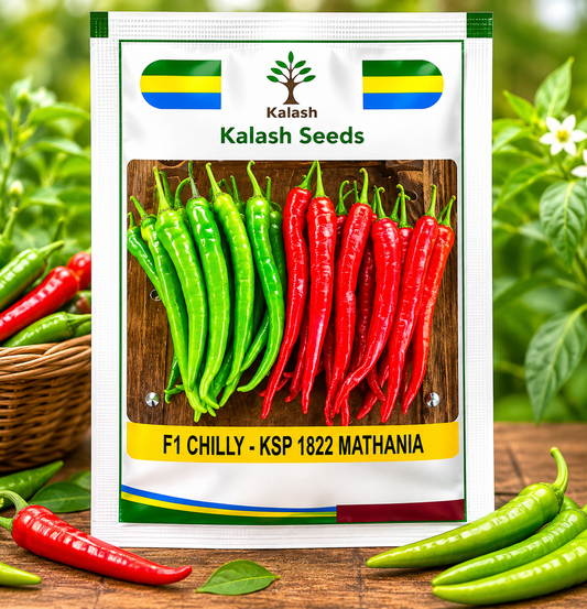 KSP 1822 Mathania Chilli