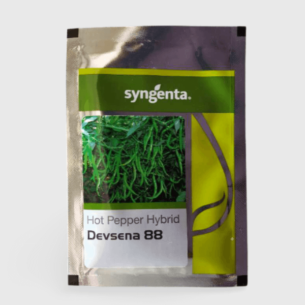 Syngenta Devsena 88 chilli